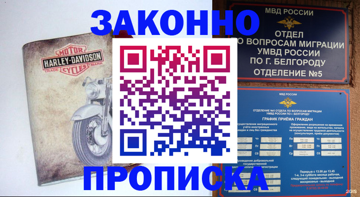 прописка для школы в Вязьме